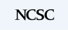 National Center for State Courts, NCSC.